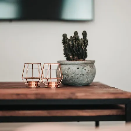 Zilter - Groot Duplex Met Terras Appartement *