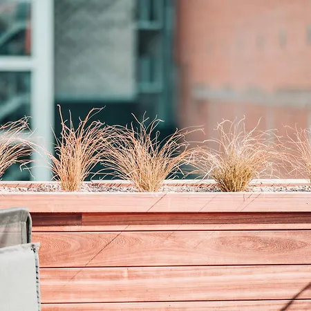 Appartement Zilter - Groot Duplex Met Terras Ostende
