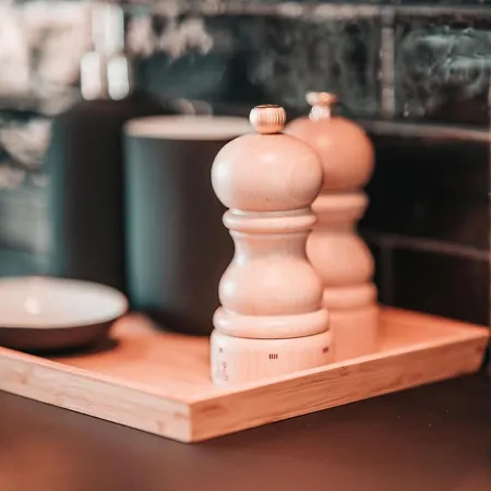 Zilter - Groot Duplex Met Terras * Ostende